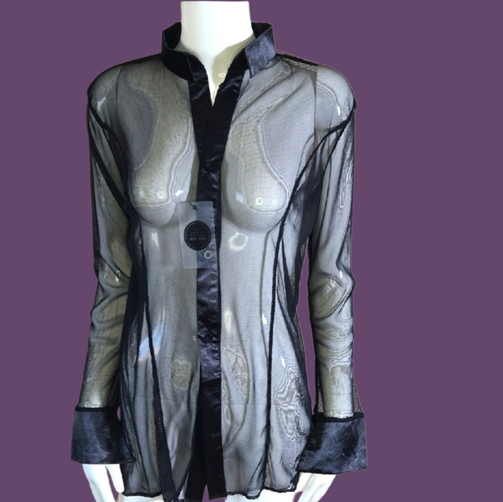 White and Blue Sheer Long Sleeve Blouse with Mandarin Collar
